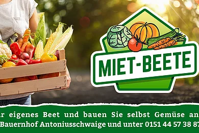 Werbebanner mit großem Bild. Teilausschnitt einer Frau, die eine Gemüsekiste trägt. Daneben ein Logo Miet-Beete. Darunter ein Werbehinweis mit Kontaktinformationen.