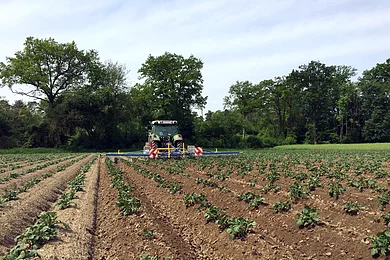 Traktor auf einem Feld mit jungen Pflanzen, umgeben von Bäumen im Hintergrund.