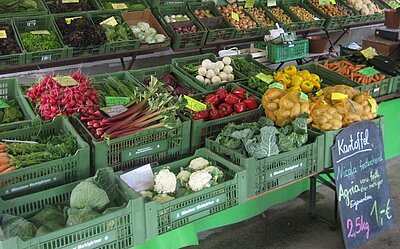 Viele grüne Kisten sind nebeneinander und im Hintergrund schräg nach oben aufgereiht, gefüllt mit Weißkohl, Blumenkohl, Kartoffeln im Netz, Karotten, Rhabarber, roter Paprika, Radieschen im Bund, Frühlingszwiebeln, Radi, verschiedene Salate, verschiedene Zwiebelsorten und offene Kartoffeln. In der Mitte der Kisten befindet sich eine Waage.