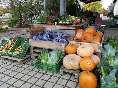 Auf einem Steinpflaster stehen drei große Holzkisten, eine gefüllt mit Kürbissen, daneben Blaukrautköpfe und wieder großen orange Kürbisse. Davor, z. Teil angelehnt befinden sich kleine grüne Kisten mit Zierkürbissen und grünem Spitzkohl. Im Hintergrund in Brusthöhe befinden sich verschiedene Pflanzen in Blumentöpfen und Kohlrabi.