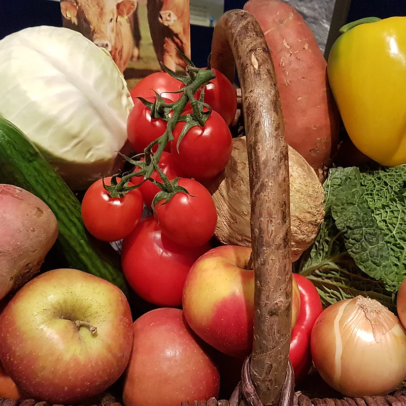 Bild Biberger_Gemüsekorb Korb mit verschiedenen Obst- und Gemüsearten