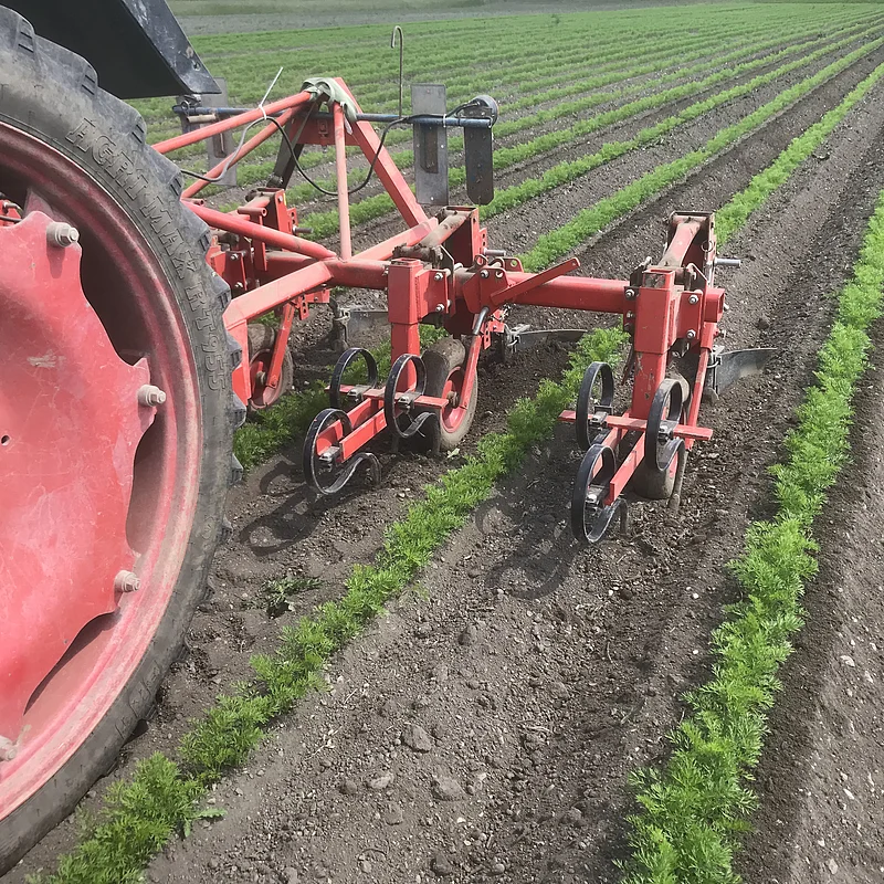 Teilbild Traktor auf Gemüsefeld